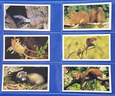 Grandee Cigar Cards BRITAINS