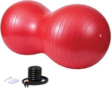 Exercise Ball with Pump
