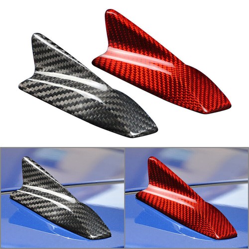 Carbon fiber car shark - carbon,