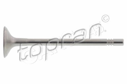 Inlet valve for seat - inlet, vw