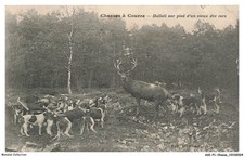 ASIP1-0001-CHASSE - Hunting -