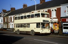 Hunters, Seaton Delaval