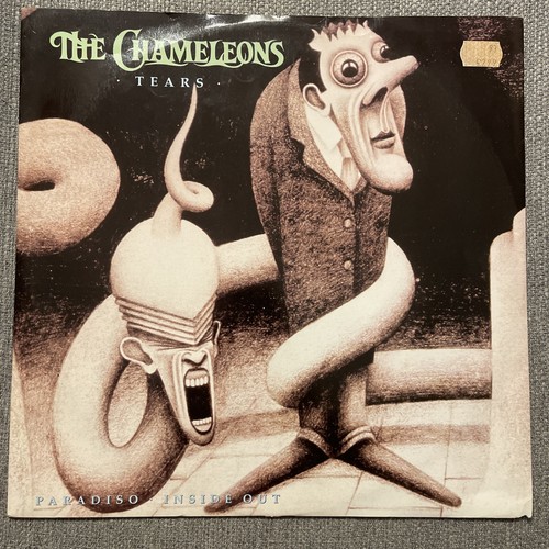 The chameleons tears - chameleons, 12
