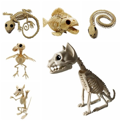 Halloween bats skeleton - halloween,