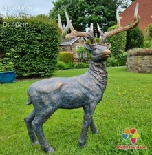 Large Proud Stag & Antlers