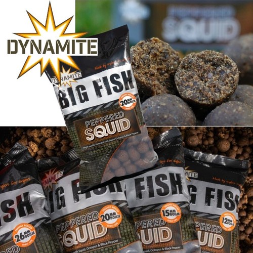 Dynamite baits big fish - big,
