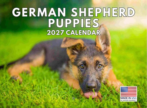 German shepherd puppy - german,