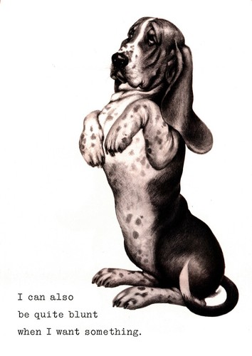 Basset hound dog greeting - basset,