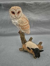 country artists barn owl With