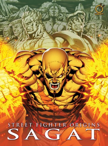 Street fighter origins sagat - fighter,