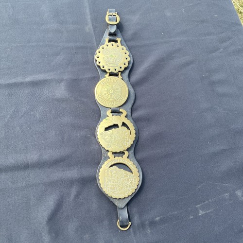 Horse brass british - horse,