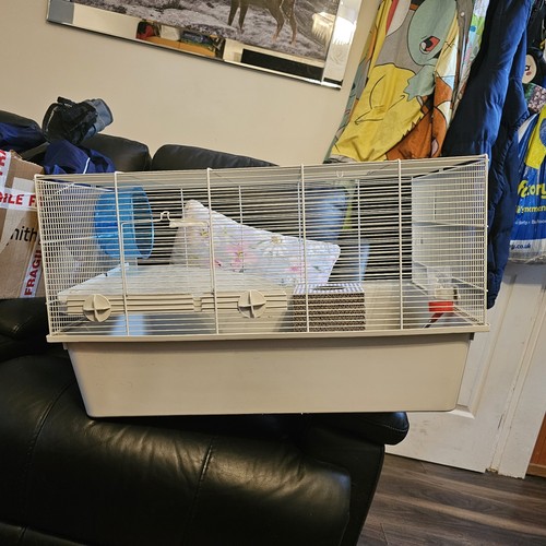 Large animal cage 68cm - animal,