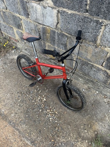 Raleigh boxer bike stinker - bike,