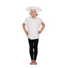 Henbrandt Sheep Child Animal