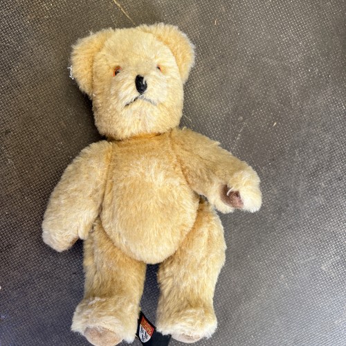 Canterbury bear 1985 - canterbury,