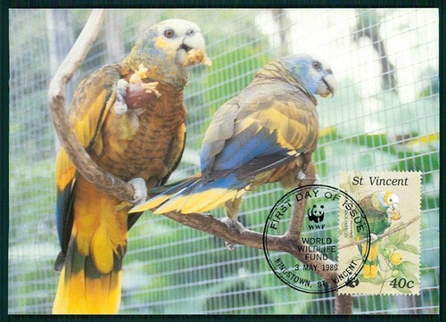 Vincent wwf fauna birds - wwf,