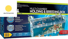 FL Hang on Holding and