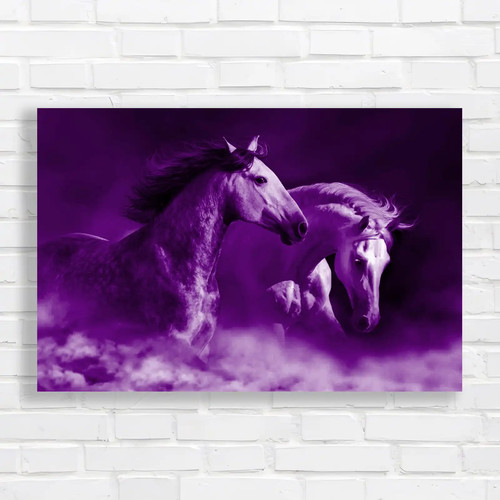 Couple horses run dust - run, in