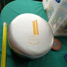 Tae Kwon-Do Punching Kicking