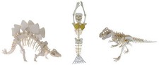Tinysaurs dinosaur skeleton - -,