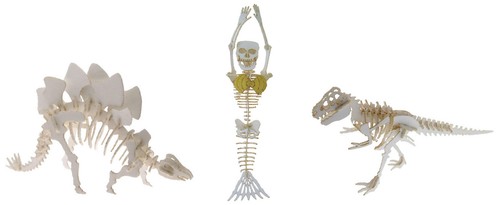 Tinysaurs dinosaur skeleton - -,