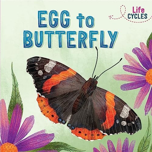 Egg butterfly life - egg, (life