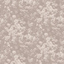 Romo - Floris - Tiami - Perlino - W414/03 - Batch L