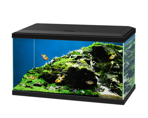 Ciano aqua black - ciano,