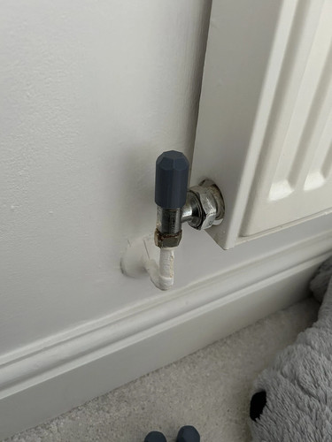 Radiator valve caps - radiator,