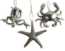 Octopus Starfish Crab Sea Life