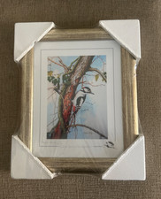 stephen gayford limited
