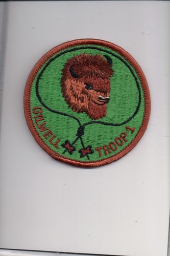 Buffalo gilwell troop 1 - troop,