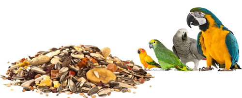 Parrot food tropical fruit - tropical,