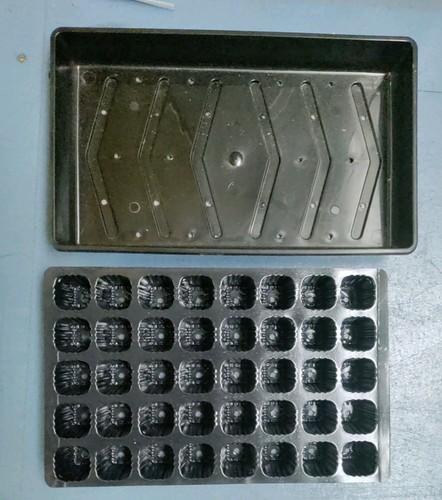 Root trainer seed tray deep - seed,