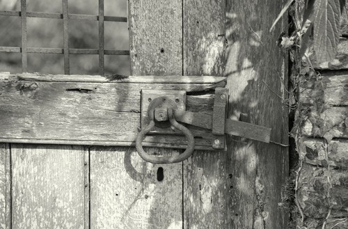 Photo 12x8 old garden - photo,