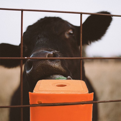 Pcs salt container holder - 2,