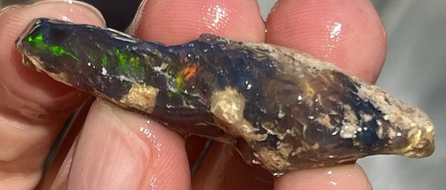 Opal untouched fossil - untouched,