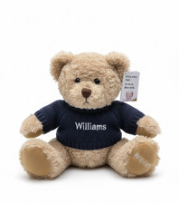 Official williams bmw motor - bmw,