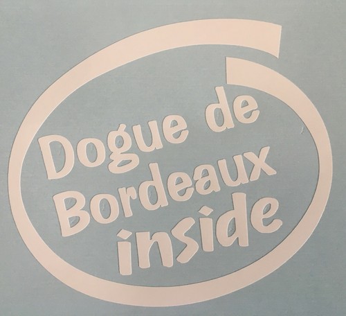 Dogue bordeaux inside on - dogue,