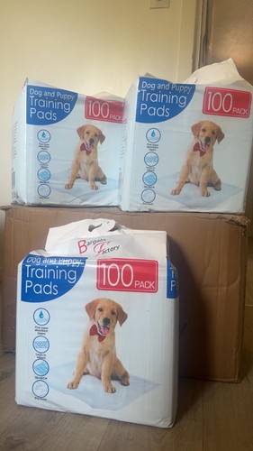 400 brand new puppy dog - 400, puppy/dog