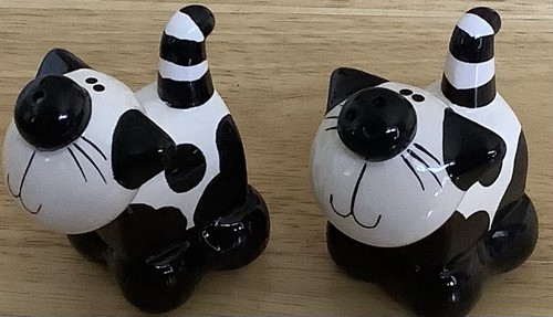 Cat salt and pepper - salt,
