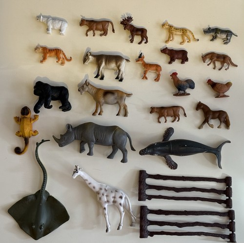 Collection zoo safari ocean - collection,