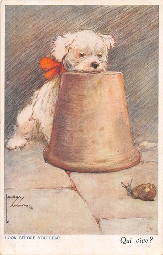 Postcard dog theme look - dog,