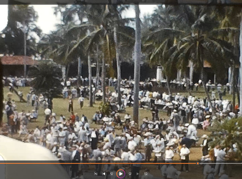 Florida horse racing - horse, track