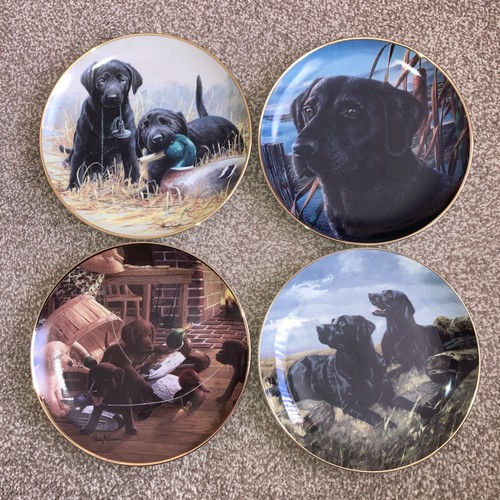 Franklin mint labrador - x,