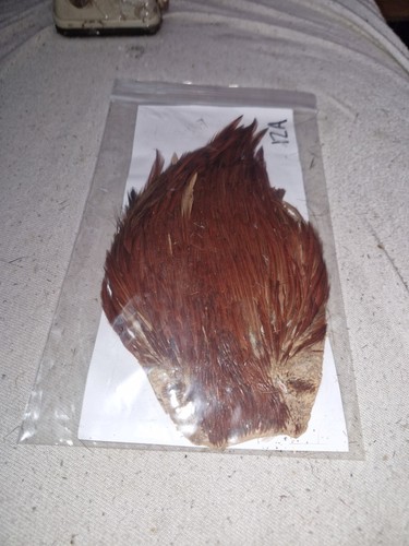 Cock cape fly tying - cape,fly,