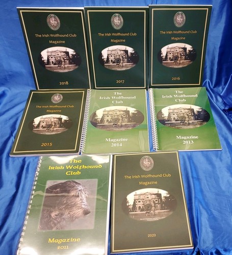 40x the irish wolfhound - the,