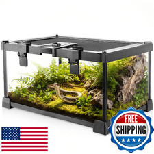 Mini Reptile Glass Terrarium