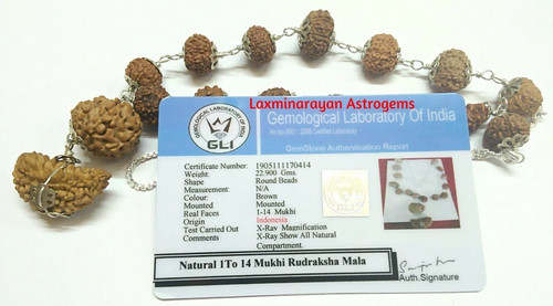 Rudraksha siddha mala 14 - rudraksha, 1