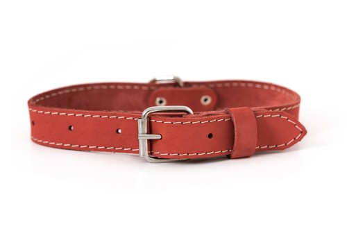 Dog acollar luxury 100 - luxury, 100%
